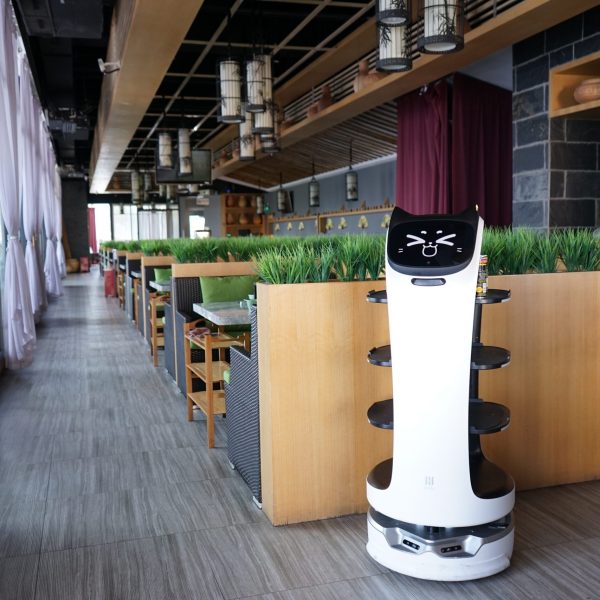 BellaBot Servierroboter im modernen Restaurant